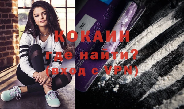 твердый Абаза