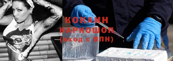 прущие грибы Абинск