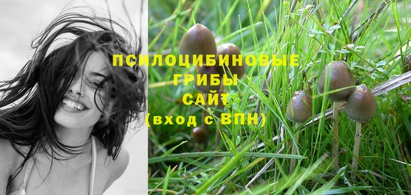 твердый Абаза