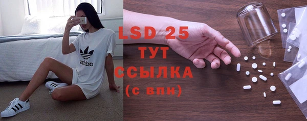 твердый Абаза