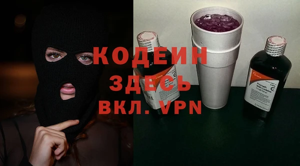 прущие грибы Абинск