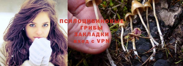 МДПВ Абдулино