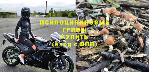 прущие грибы Абинск