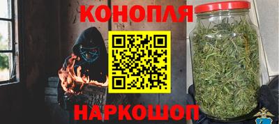 дмт Новозыбков