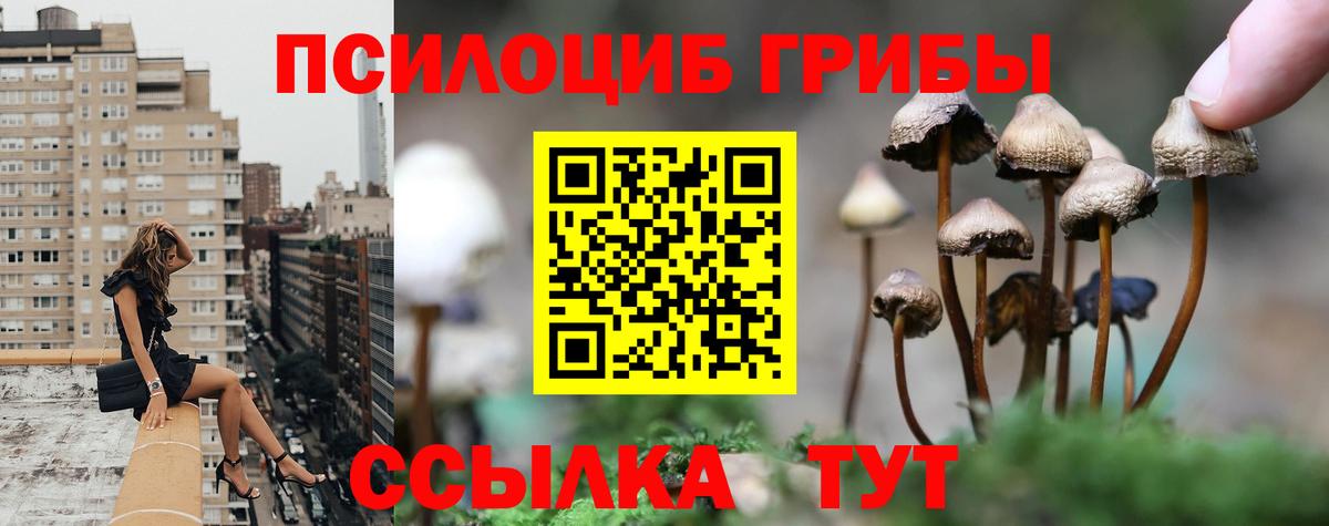Галлюциногенные грибы Magic Shrooms  Вход с VPN  Кашира 