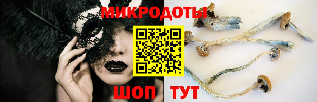 Псилоцибиновые грибы ЛСД Кашира